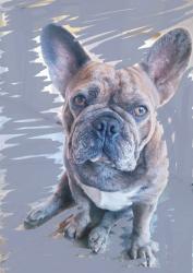 Lost Female Dog last seen Winter st , Los Angeles, CA 90063