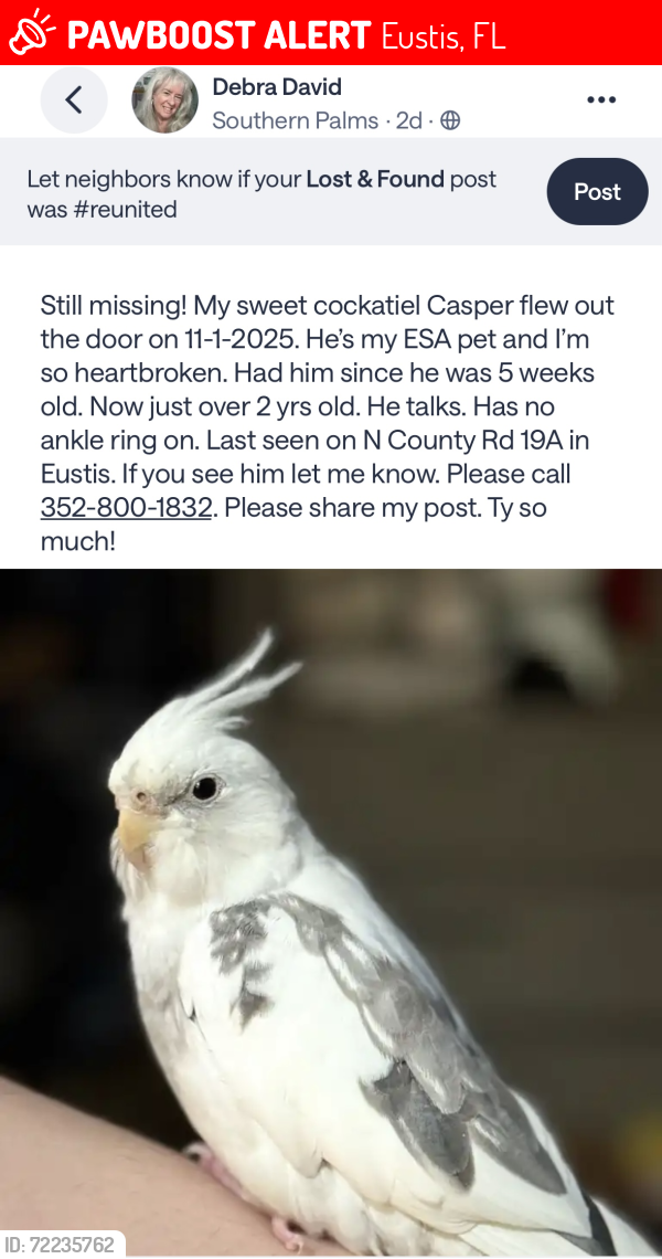 Lost Male Bird last seen N County Rd 19A, Eustis, FL 32726