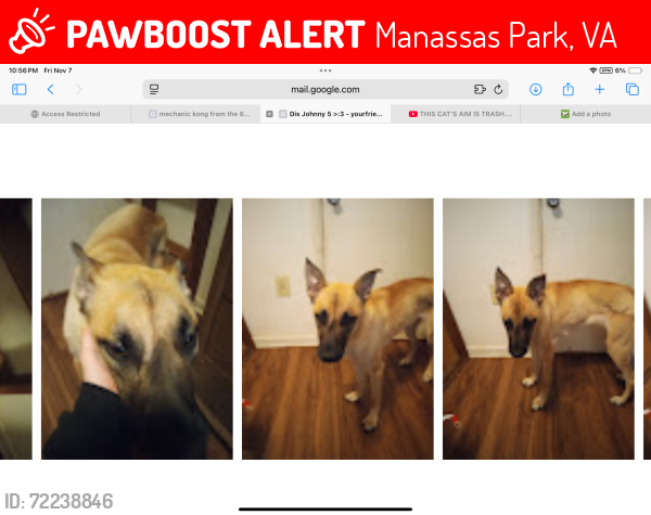 Lost Female Dog last seen Overview The nearest major crossroads to 8730 Rugby Road in Manassas, VA are Fairfax County Parkway (Route 7100) to the north and Walney Road to the east, Manassas Park, VA 20111