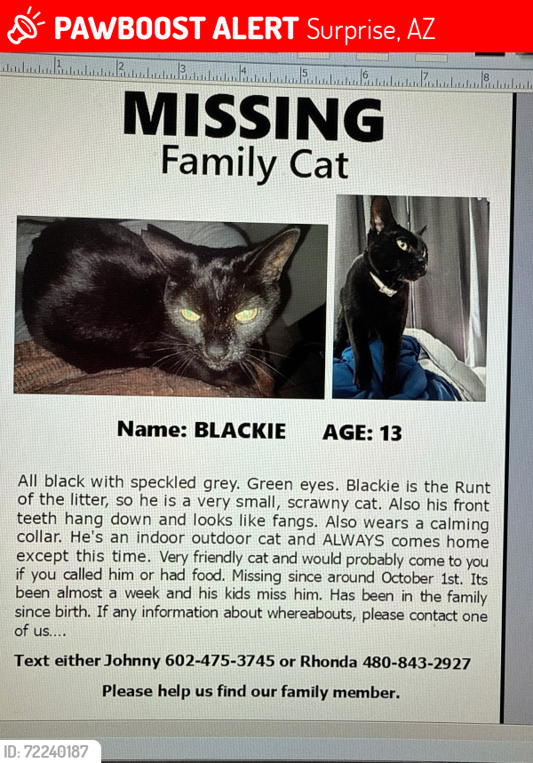 Lost Male Cat last seen Marconi st and north 158th court,surprise , Surprise, AZ 85379