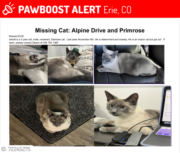 Lost Male Cat last seen Alpine drive Primrose lane, Erie, CO 80516