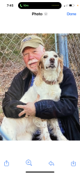 Lost Female Dog last seen Off of Rt 4, across from Sod Farm, South Hill, VA 23950