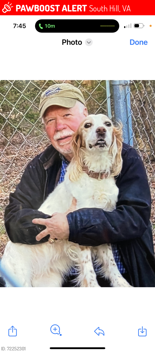 Lost Female Dog last seen Off of Rt 4, across from Sod Farm, South Hill, VA 23950