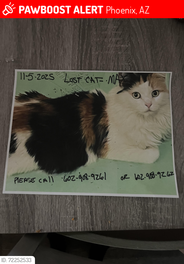 Lost Female Cat last seen Deaf School, 19th Avenue , Phoenix, AZ 85021