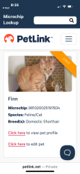 Lost Male Cat last seen Legacy park in indian land SC, Lancaster County, SC 29707