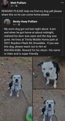 Lost Male Dog last seen Near Boydton Plank Rd Dinwiddie, Va, Dinwiddie County, VA 23841