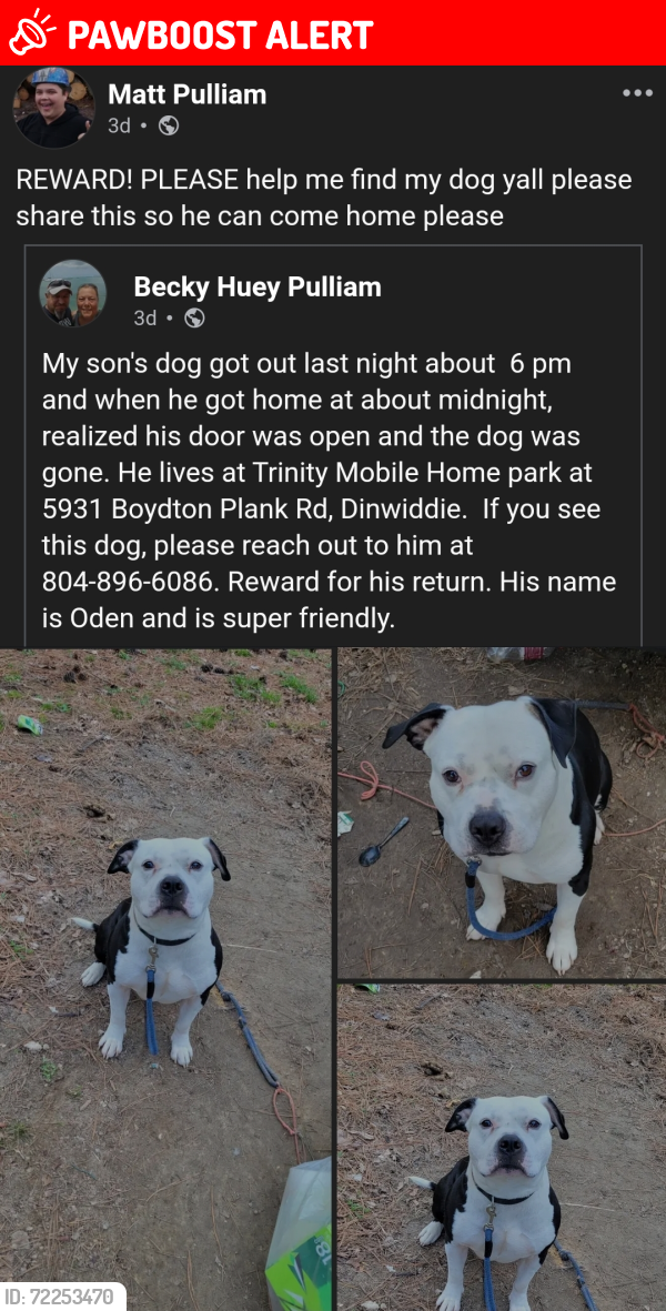 Lost Male Dog last seen Near Boydton Plank Rd Dinwiddie, Va, Dinwiddie County, VA 23841
