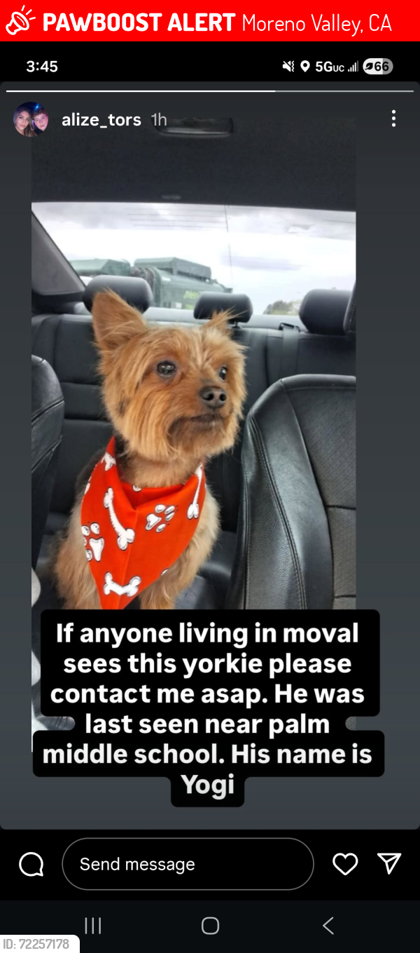 Lost Male Dog last seen Kitching ave and jaffa way, Moreno Valley, CA 92557