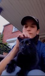 Lost Male Cat last seen Mckeesport high school , McKeesport, PA 15132