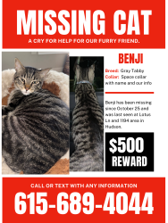 Lost Male Cat last seen Lotus lane and 1194 in Hudson area , Lufkin, TX 75904