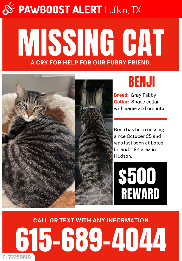 Lost Male Cat last seen Lotus lane and 1194 in Hudson area , Lufkin, TX 75904