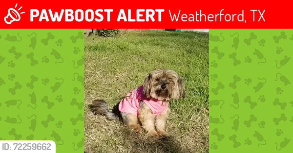 Lost Female Dog last seen S. Bowie & Vivienne St. in Weatherford, Tx. 76086, Weatherford, TX 76086