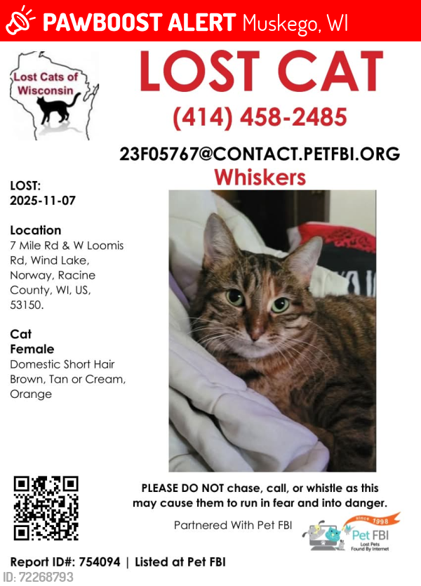 Lost Female Cat last seen 7 Mile Rd and Loomis Dr, Muskego, WI 53150