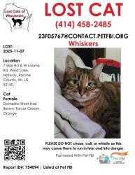 Lost Female Cat last seen 7 Mile Rd and Loomis Dr, Muskego, WI 53150