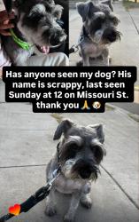 Reunited Male Dog last seen 3rd and chicago, Riverside, CA 92507