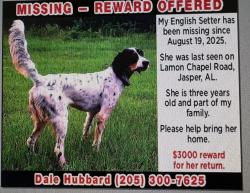 Lost Female Dog last seen Ezekiel Rd, Jasper, AL 35503