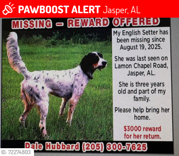 Lost Female Dog last seen Ezekiel Rd, Jasper, AL 35503
