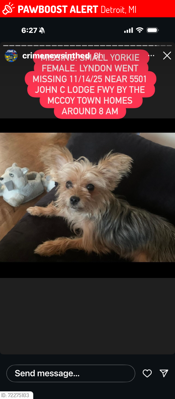 Lost Female Dog last seen Henry ford hosp , Detroit, MI 48238