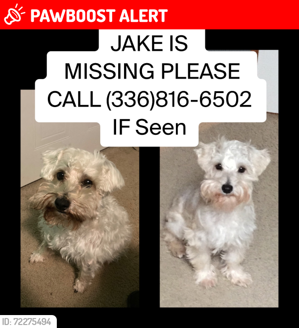 Lost Male Dog last seen Ellisboro rd , Rockingham County, NC 27357