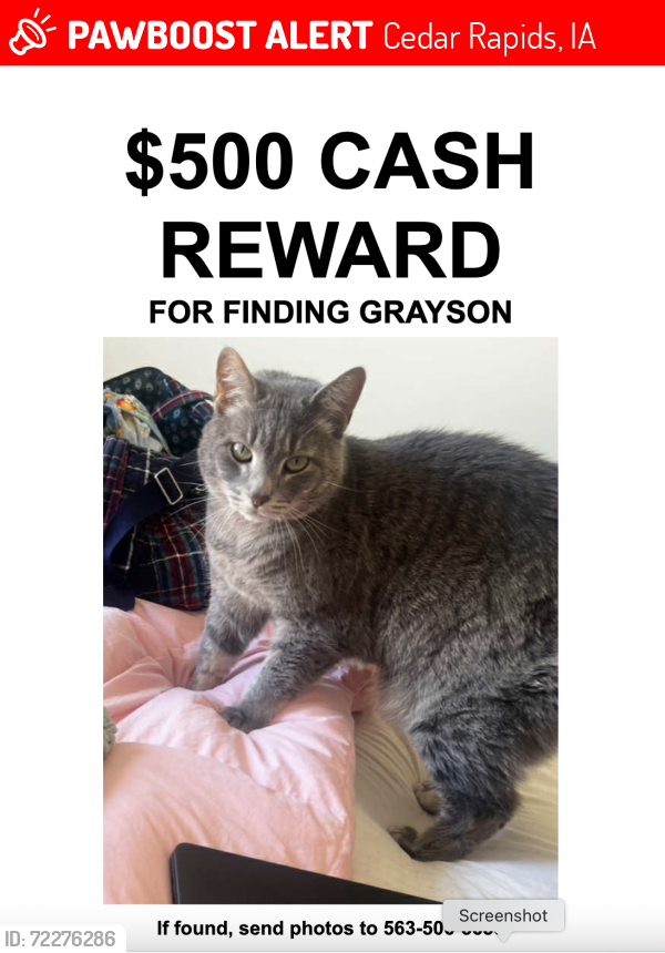 Lost Male Cat last seen KIRKWOOD CT SW, Cedar Rapids, IA 52404