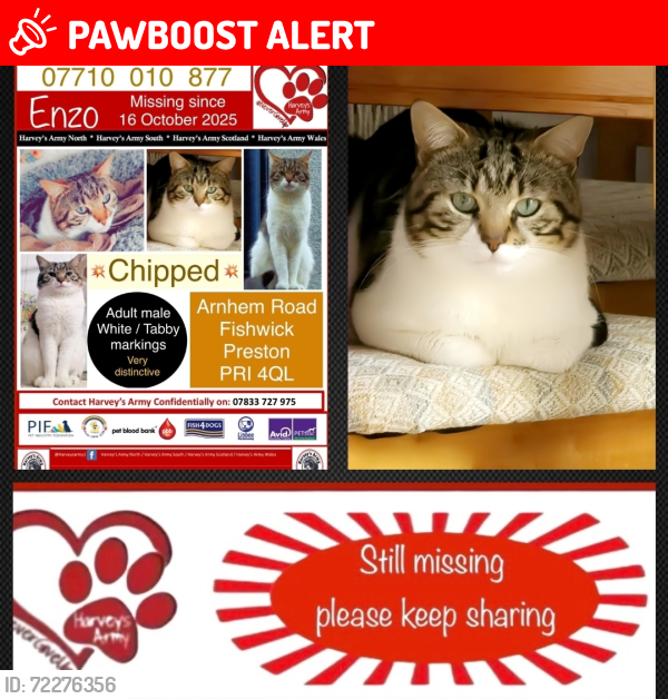 Lost Male Cat last seen Fishwick , Lancashire, England PR1