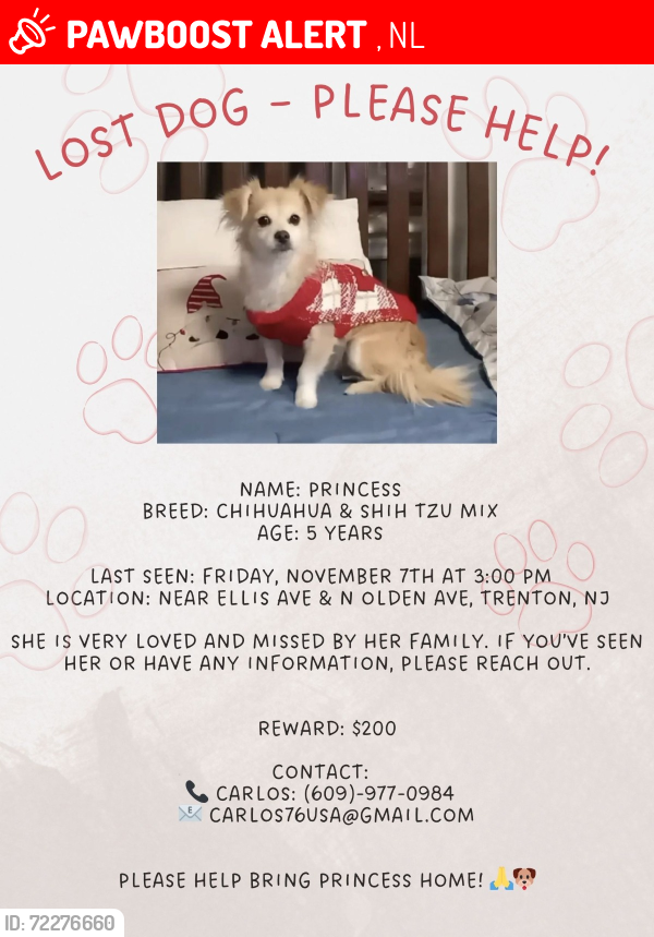 Lost Female Dog last seen Ellis ave and heil ave of north olden trenton, , NL 