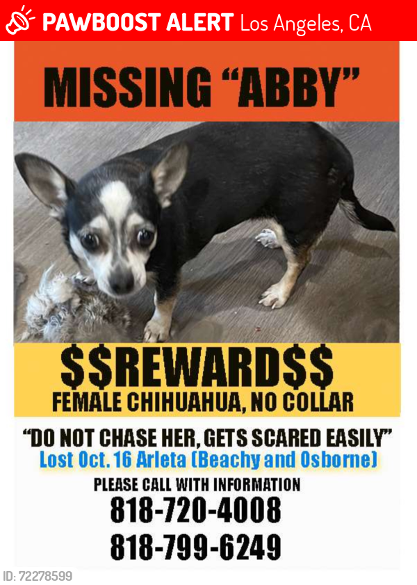 Lost Female Dog last seen Beachy and Osborne, Los Angeles, CA 91331