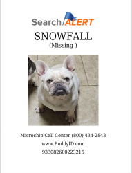 Lost Female Dog last seen Alexander Rd. and Vimy Ridge Rd., Alexander, AR 72022