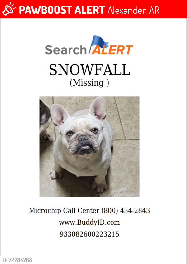 Lost Female Dog last seen Alexander Rd. and Vimy Ridge Rd., Alexander, AR 72022