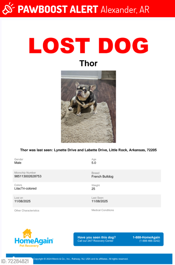 Lost Male Dog last seen Alexander Rd and Vimy Ridge Rd, Alexander, AR 72022