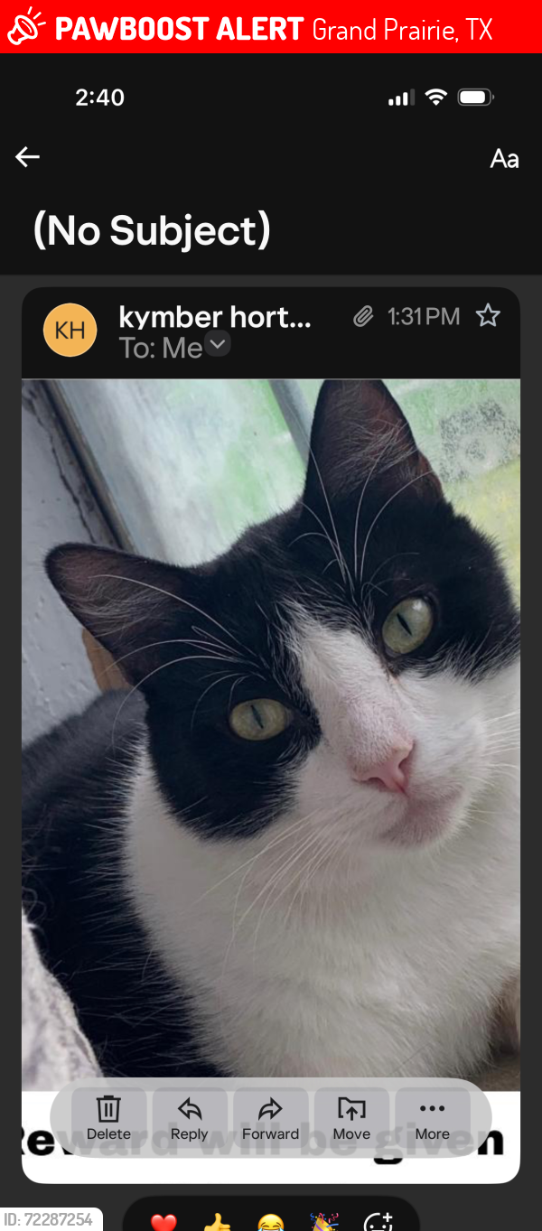 Lost Male Cat last seen by the water tower, Grand Prairie, TX 75050