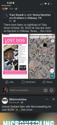 Lost Male Dog last seen JBs and Fountain Lane Odessa, Odessa, TX 79761