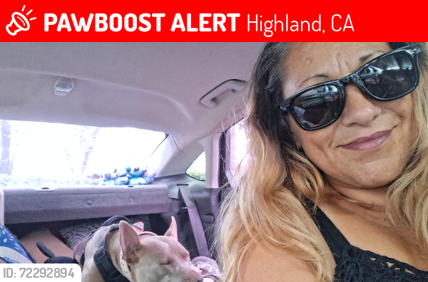 Lost Female Dog last seen Victoria and 14th , Highland, CA 92346