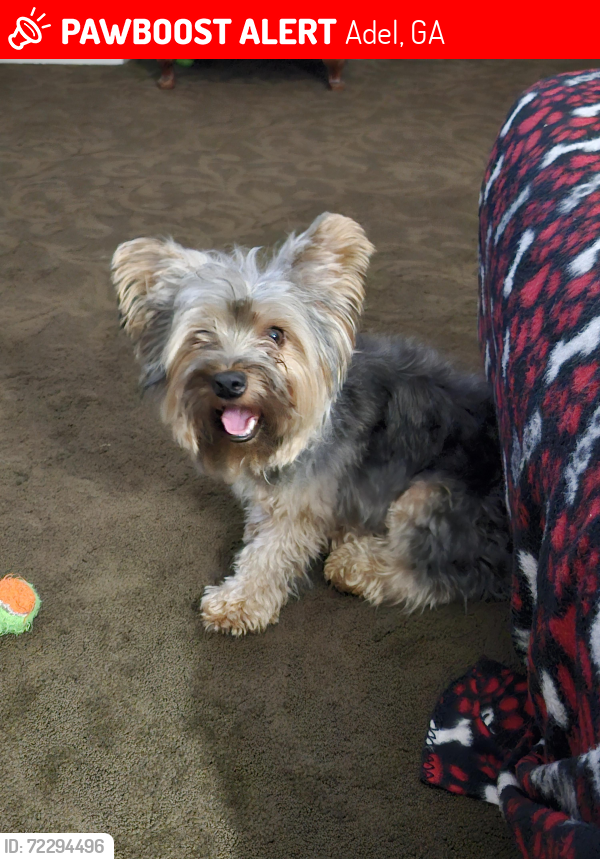 Lost Male Dog last seen Massee Post, Linda, Thomas and Dottie Streets, Adel, GA 31620