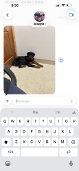 Lost Female Dog last seen Near Race Street, Bainbridge, PA 17502