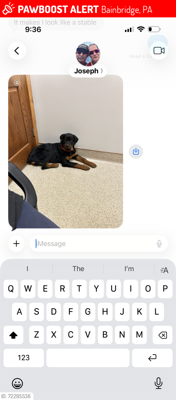 Lost Female Dog last seen Near Race Street, Bainbridge, PA 17502