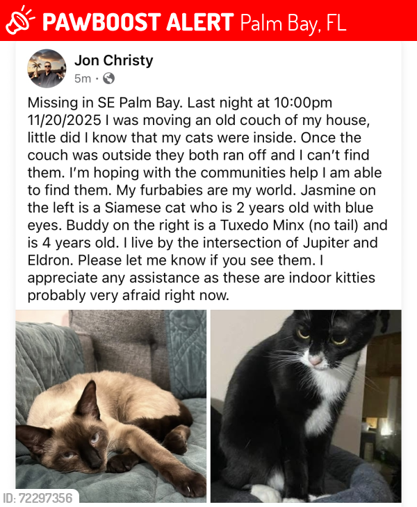 Lost Male Cat last seen Eldron and Jupiter, Palm Bay, FL 32909