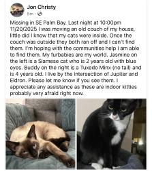 Lost Male Cat last seen Eldron and Jupiter, Palm Bay, FL 32909
