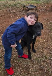 Lost Male Dog last seen Bluff Point Court , Greenville County, SC 29605