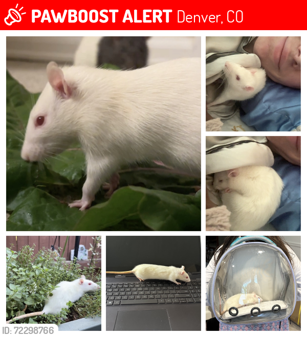 Lost Female Other last seen -, Denver, CO 80227