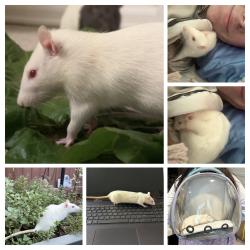 Lost Female Other last seen -, Denver, CO 80227