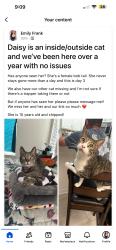 Lost Female Cat last seen Off of Old bicycle and star ave, Panama City, FL 32404