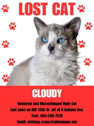 Lost Male Cat last seen NW 35th St and N Indiana Ave. , Oklahoma City, OK 73118