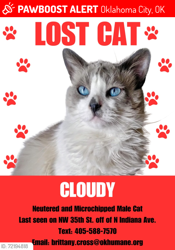 Lost Male Cat last seen NW 35th St and N Indiana Ave. , Oklahoma City, OK 73118