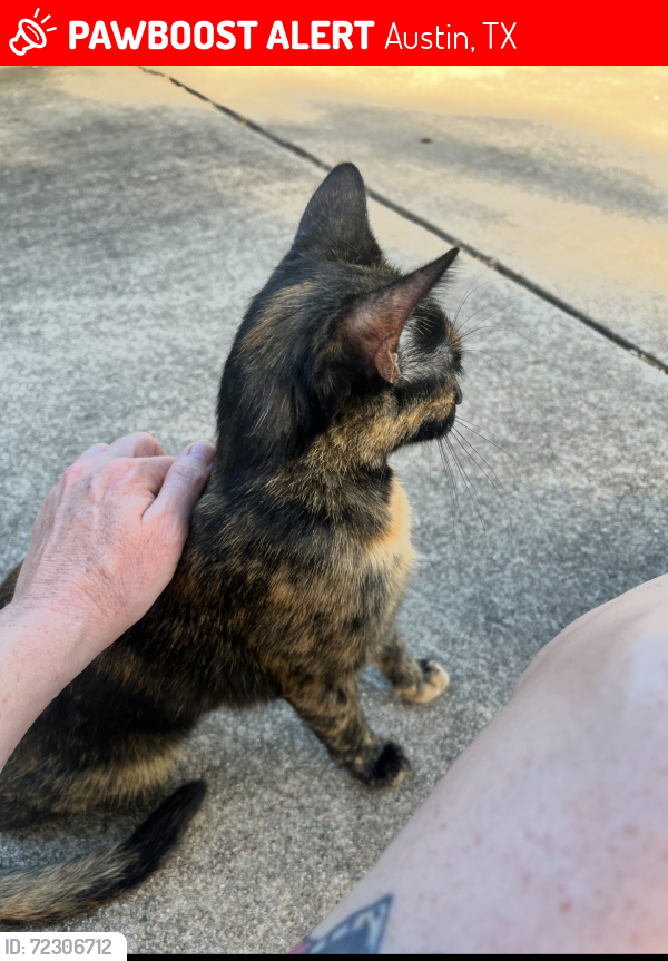 Lost Female Cat last seen Westgate & Stassney , Austin, TX 78745