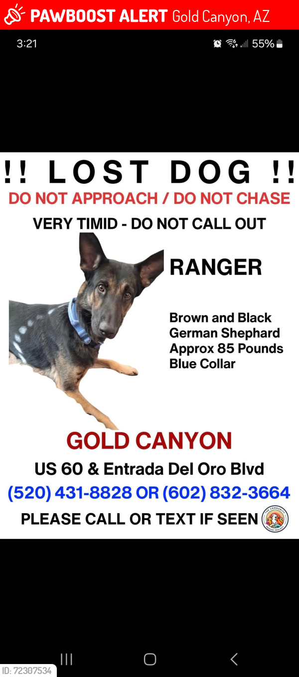 Lost Male Dog last seen The wash in Entrada Del Oro , Gold Canyon, AZ 85118