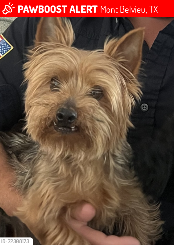 Lost Male Dog last seen Sabinal St, Mont Belvieu, TX 77523