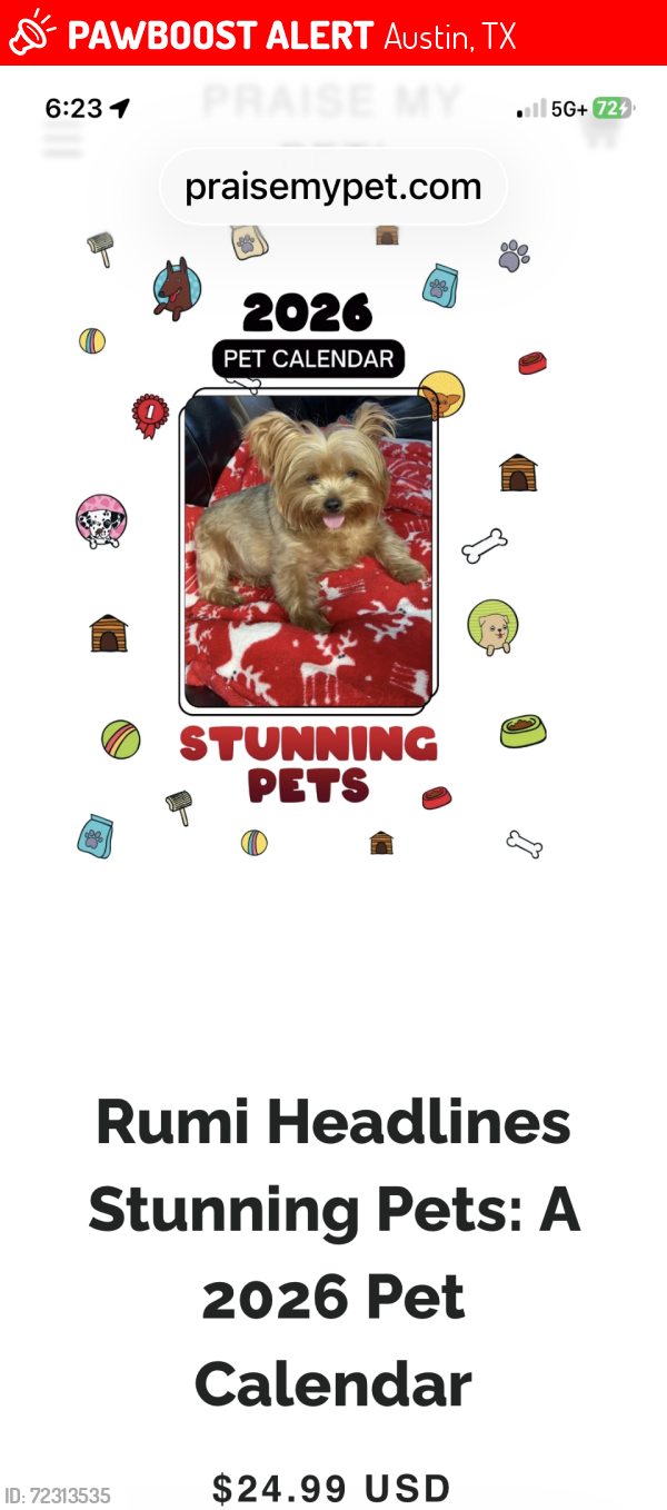 Lost Female Dog last seen 1150W. Anderson ln. Austin Texas 78745, Austin, TX 78757