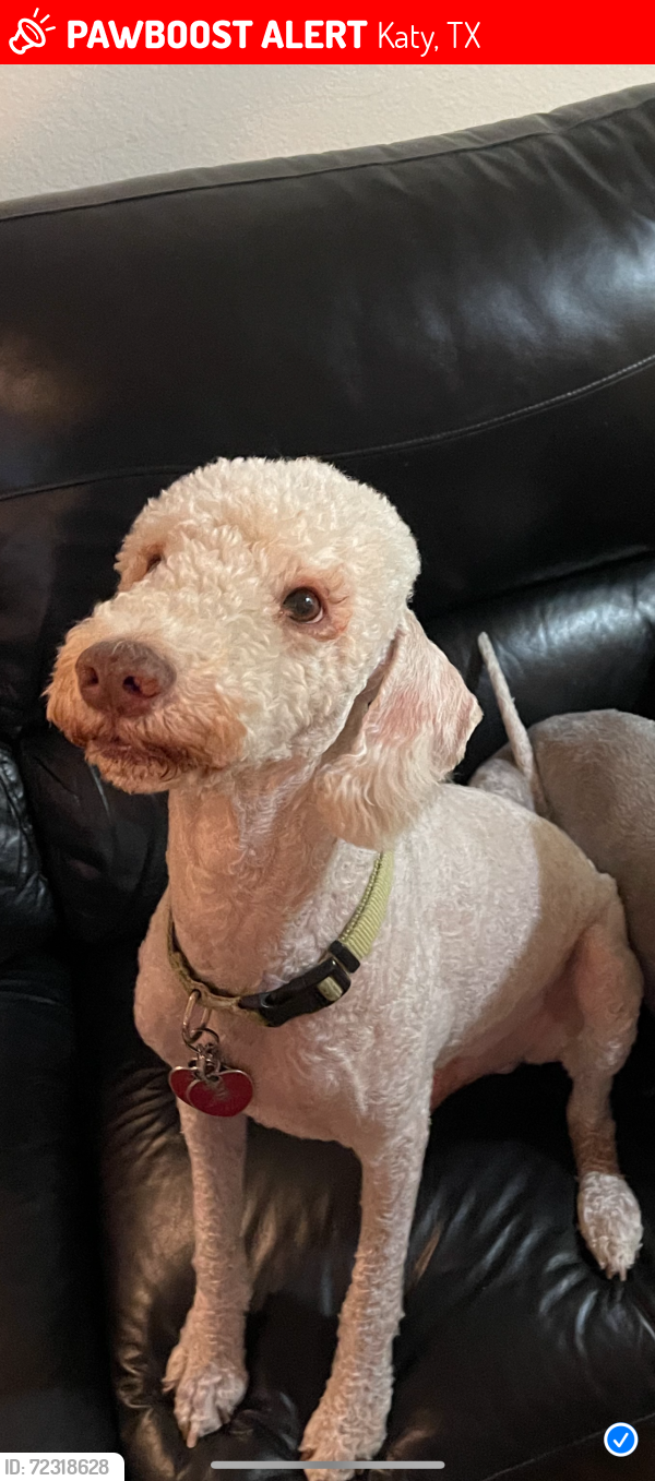 Lost Male Dog last seen WoodCreek Reserve, Katy, TX 77494