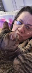 Lost Female Cat last seen Scott st and bunting rd, St. Catharines, ON L2M 3X7